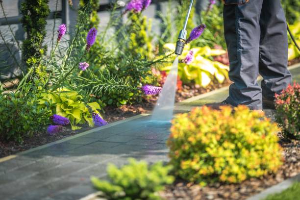 Best Spring Cleaning  in Arvada, CO
